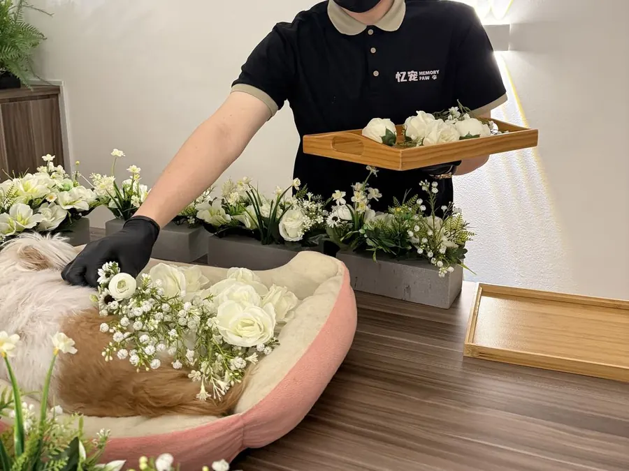 Pet Cremation Services